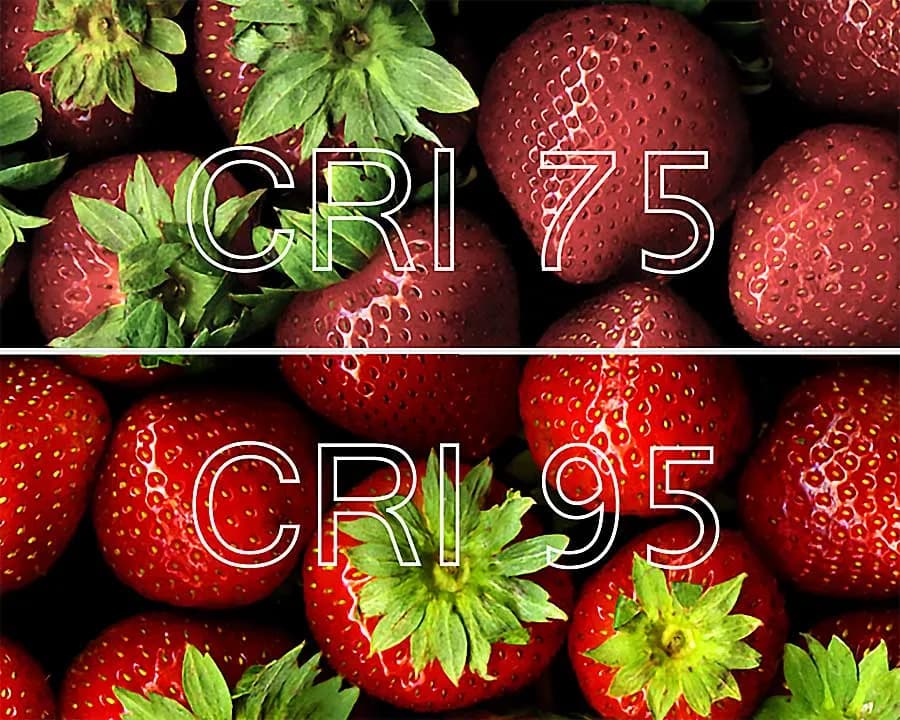 شاخص نمود رنگ یا CRI